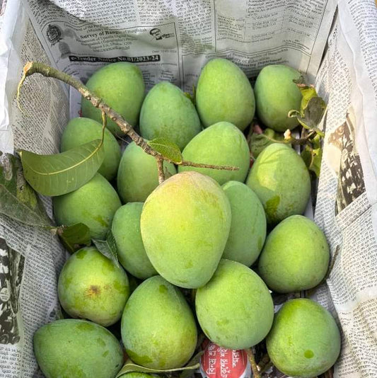 হিমসাগর আম। Himsagar Mango - 10 KG